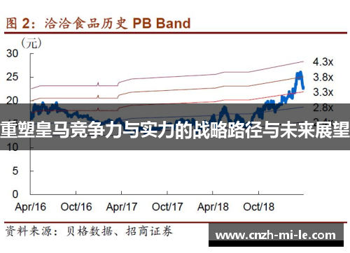 重塑皇马竞争力与实力的战略路径与未来展望