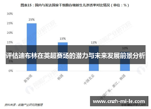 评估迪布林在英超赛场的潜力与未来发展前景分析 评估迪布林在英超赛场的潜力与未来发展前景分析