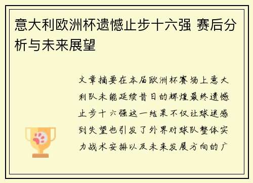 意大利欧洲杯遗憾止步十六强 赛后分析与未来展望
